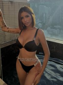 Sofiaastrid Singapore Transex Hii im sofiaa asian descent.

I stand out with a sexy body that drives young men wild. If you want to experience a thrill with me, you’ve made the right choice, darling.

I offer whatever services you desire

I can treat you the way you want me to

- cum on your face✅
- putting a chainmail shirt on you while you are naked ✅
- licking from your crotch up to your softly furred navel, then moving to your neck ✅
- slapping you with a big penis ✅
- make your penis as hard as a rock with my behavior ✅🔥


My large breasts and a big cock are my unique attractions✨

Please send me a message via WhatsApp first📩

-I won't respond if you send me a message without saying 'HI, I SAW YOU ON TS-DATING COM,” ❗️
