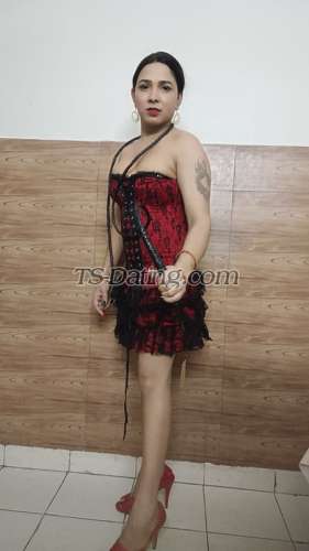 trans girl Sonaxy 2864001 trans girl Sonaxy 2864001