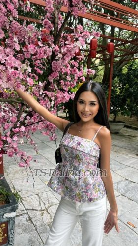 trans girl Sophia0901 5891376 trans girl Sophia0901 5891376