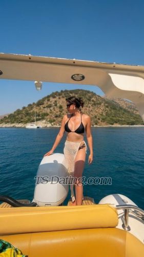 trans girl Sophiee 8447872 trans girl Sophiee 8447872