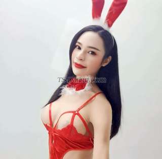 trans girl Sozarabarbie 6025472 trans girl Sozarabarbie 6025472