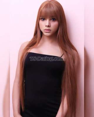 trans girl Spicysaiba 5924856 trans girl Spicysaiba 5924856