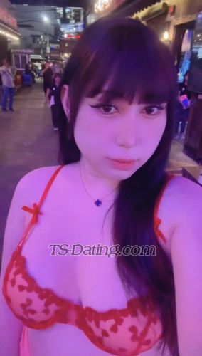 trans girl Spywinecooler 4017700