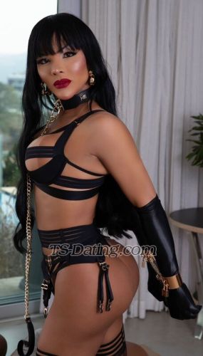 trans girl StefanieXXL 2264504 trans girl StefanieXXL 2264504