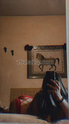 trans girl Stefany98 4633268