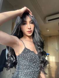 Stepanilauraa Jakarta Transex Hii.. nice to meet you, im laura, im new here, i can give you my best service for you like as a girlfriend and i have cute face and pretty also😁 
21 yo 
177cm 
60kg 
if you curious and interest to me, grab me fast now!! 
+62 858-5784-7379