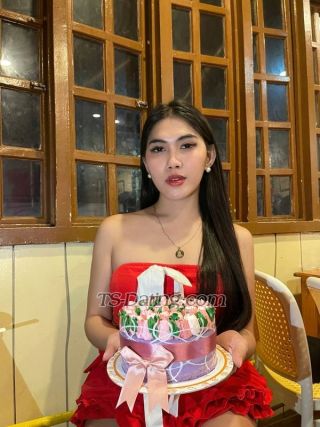 trans girl StephanieVers 3619602 trans girl StephanieVers 3619602