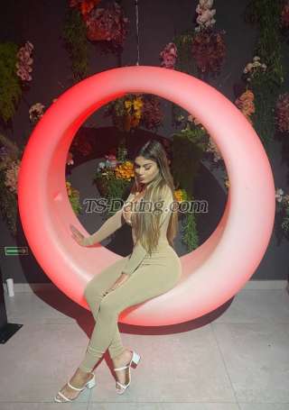 trans girl SuellenPorto 2131158 trans girl SuellenPorto 2131158