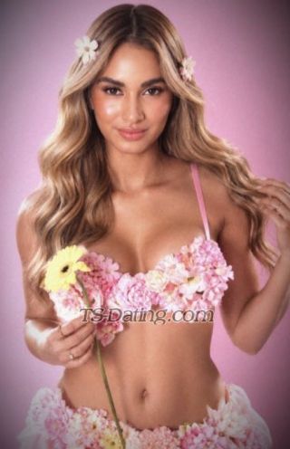 trans girl SugarHolly 3537370
