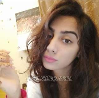 trans girl Suhana789 8784249 trans girl Suhana789 8784249