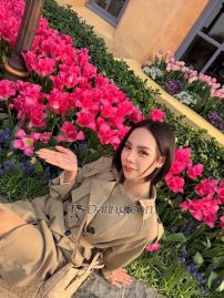 Summer33 Bangkok TS escort 