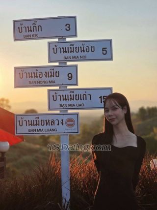 trans girl Summer33 8222485