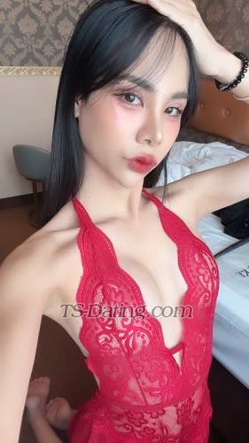 trans girl Summer33 8314824