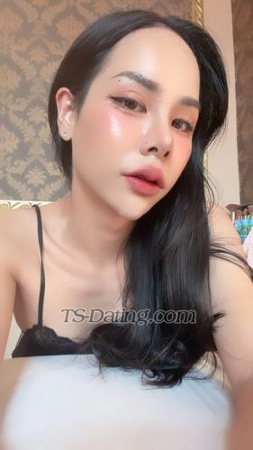 trans girl Summer33 8550979