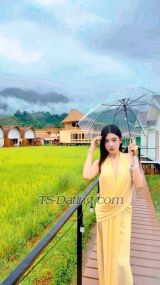 Sundayyyy42 Pattaya Transex ชื่อซันเดย์นะคะอายุ26ปี คนไทยเชื้อสายจีนเป็นคนน่ารักเฟรนลี่อัธยาศัยดี เอ็นเตอร์เทนเก่งค่ะ พูดไทย จีน อังกฤษได้และชอบท่องเที่ยวรู้จักผู้คนค่ะ ผิวขาวหมวยๆค่ะรับงานทานข้าว งานเที่ยว งานVIP  ราคาคุยกันได้ค่ะราคาไม่แพงแน่นอนค่ะ