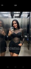 SunnyHeeBo Patong Transex I'm Sunny in Patong Phuket I am do freelance here I am can
be both and if you want to meet me or know me more contact
me  nice too meet you ka