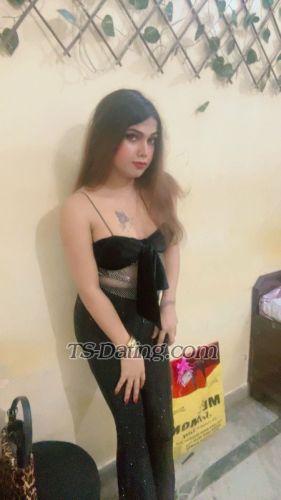 trans girl Sushy 7824444 trans girl Sushy 7824444