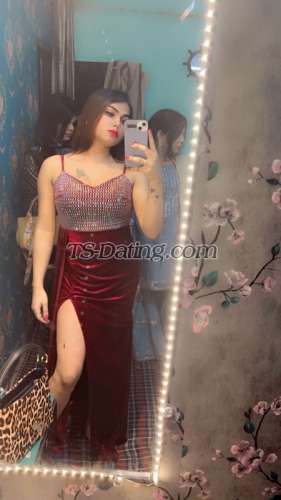 trans girl Sushy 9426830 trans girl Sushy 9426830