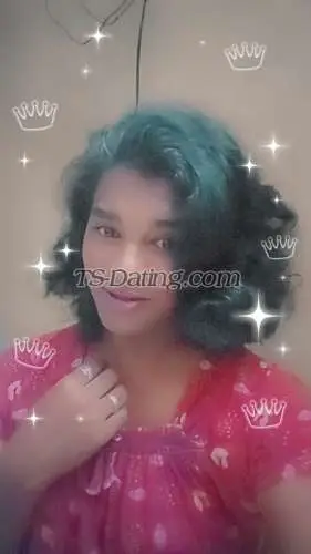 Shemale Susitransgender 4812664