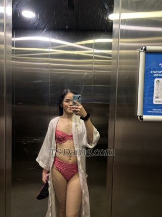 trans girl SweetTranny 7749646 trans girl SweetTranny 7749646
