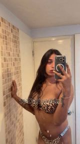 Sweet beery Delhi Transex 🥂Get a foot to my world,
Hey it's Smriti, (only out call)
thank you for taking time to read my ad...
❤️ In this world there are 2 type of people, some like quality, other like quantity.  What are you looking for? 
❤️ I hope wt you want you get only here.

   The display photo is absolutely mine, I am a versatile Tg shemale, 
My fees are 100 % non-negotiable, as one would expect of any professional. 
Be decent while approaching, I have my own place and if you get one be classy,
I like to meet experienced men with lots of challenges and when I am with a first timer I go with care.
    Sex is a pleasure to me, I don't like it kinky or painful.
I can make you mad with my moans, I am flexible we can explore kamasutra, absolutely GIRL FRIEND experience.slowly, passionate kissings, intense foreplay will remain your best makeout with any one. 

      I strive to satisfy you fully. I can be your wildest fantasy. Use me. Make me yours. 100% Satisfaction Guaranteed. 😉😉

     AVAILABLE FOR OUT STATION BOOKING AND for SHORT TIME.. FOR VIDEO CALL...HOTEL..

These are my service details kindly see here..
☆Natural blowjob
⭐️Kisses with tongue (GFE experience)
⭐️Lick & Suck in 69 position
⭐️Active & Passive
⭐️Massage with happy finish
⭐️Spitting in your face
⭐️Masturbation
⭐️Woman dress for you (Client Feminization)
⭐️Giving Golden Shower
⭐️Lot of milk for you
⭐ Video Call
⭐ Recorded Sex Videos 
⭐️Outcalls only in 5 Star property

All the information above are TRUE and GENUINE 
1️⃣0️⃣0️⃣ Percentage. I mean You will get what you see here.
Whatsapp and Calling No +918420220123
Telegram ID @Smriti22

Love you all 💦💓