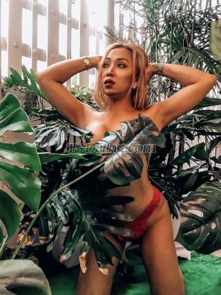 trans girl Sweetcupcake 5680674 trans girl Sweetcupcake 5680674