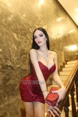 Sweetkendall6 Manila Transex Hi I am Kendall. 6ft tall Filipina-Latina ladyboy with a big surprise 🍆 from Manila. willing to give you the best satisfaction you have never felt in your life. Let me be your hottest desire and fulfill your fantasy. 😋😉

Open for camshow, sexting, VGFE, customs, private channel, content. 
