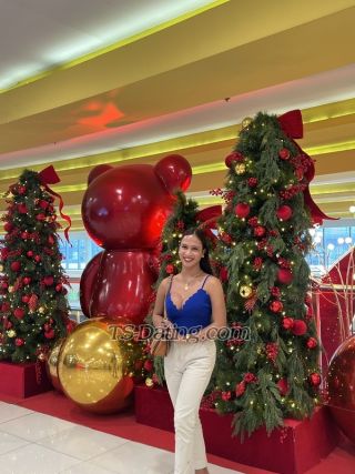 trans girl Sweetkylie 2438516