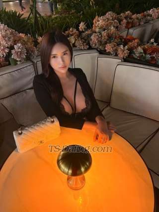 trans girl Sweetlexi 2661490 trans girl Sweetlexi 2661490