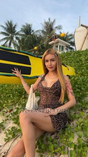 trans girl Sweetmicka 5219533 trans girl Sweetmicka 5219533