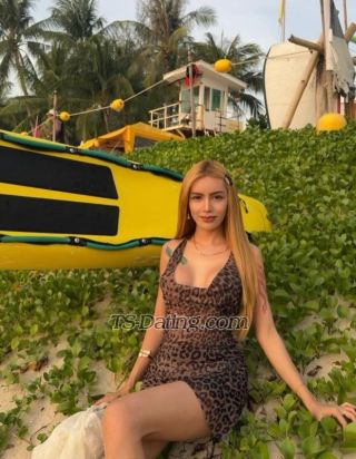 trans girl Sweetmicka 5219562 trans girl Sweetmicka 5219562