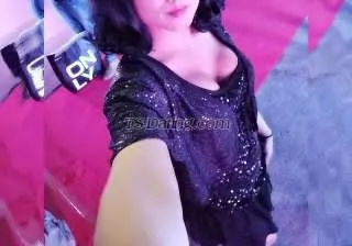 Shemale Sweetyescort 9543215 Shemale Sweetyescort 9543215