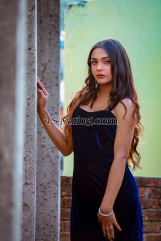 trans girl Sweetyroy 0065082 trans girl Sweetyroy 0065082