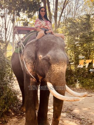 trans girl sabrinahot 7952027 trans girl sabrinahot 7952027