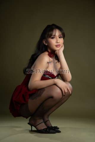 trans girl samchenny 4277200 trans girl samchenny 4277200