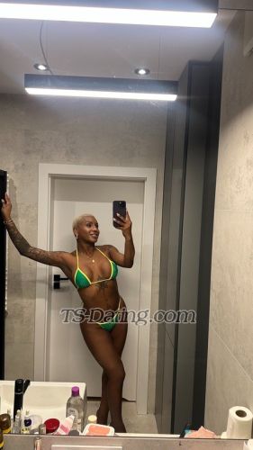 trans girl sarahmulata 3400445 trans girl sarahmulata 3400445