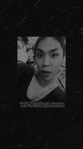 trans girl sassytrans 3808213 trans girl sassytrans 3808213