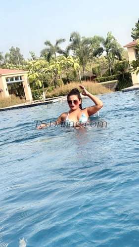 trans girl sexyalina 8856801