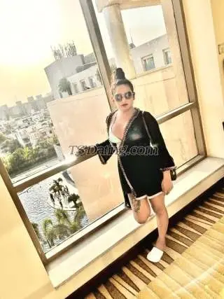 Shemale sexyalina 8856913 Shemale sexyalina 8856913