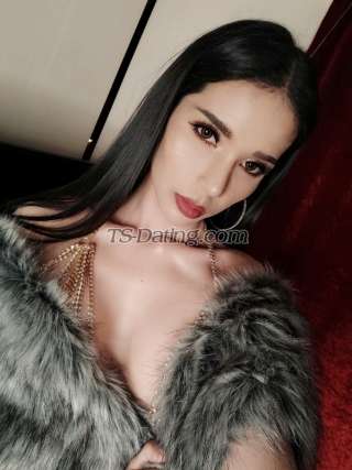 trans girl sexybella88 2655447 trans girl sexybella88 2655447