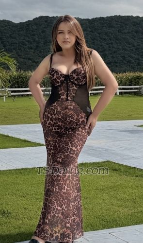 trans girl sexyme 6683547