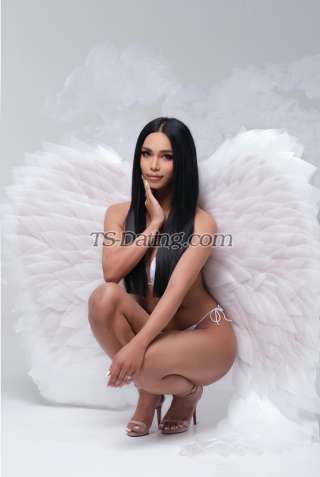 trans girl sexynarats 4040911 trans girl sexynarats 4040911