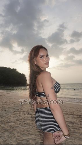 trans girl shaeschafer 8270539