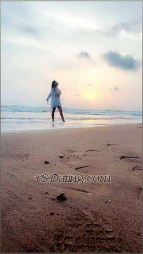 trans girl shanayaroy929 9638211 trans girl shanayaroy929 9638211