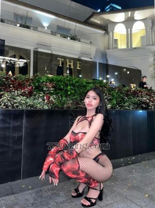 trans girl shanedoll 3289967 trans girl shanedoll 3289967