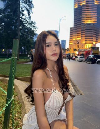 trans girl shanedoll 4504940