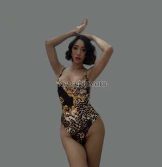 trans girl shantal17 3199437