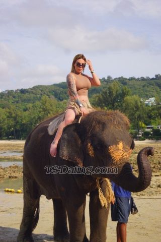 trans girl sharoldillac 0646010 trans girl sharoldillac 0646010