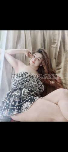 trans girl shemleshireen 2143345 trans girl shemleshireen 2143345