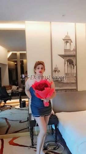 trans girl shemleshireen 2282408 trans girl shemleshireen 2282408